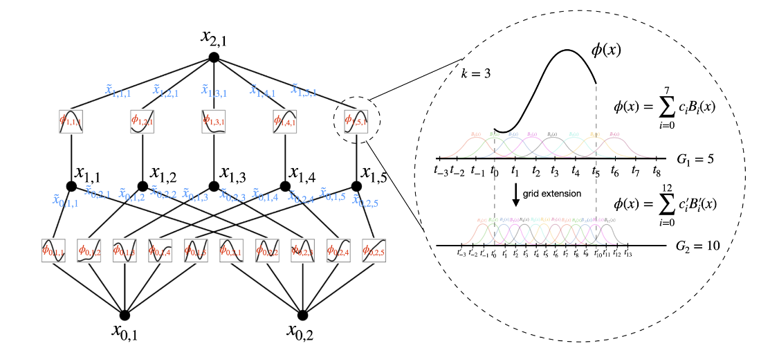 图2.2 左:网络架构。右:参数化B样条函数以及两种粒度
