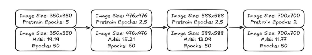 图5. 预训练结果